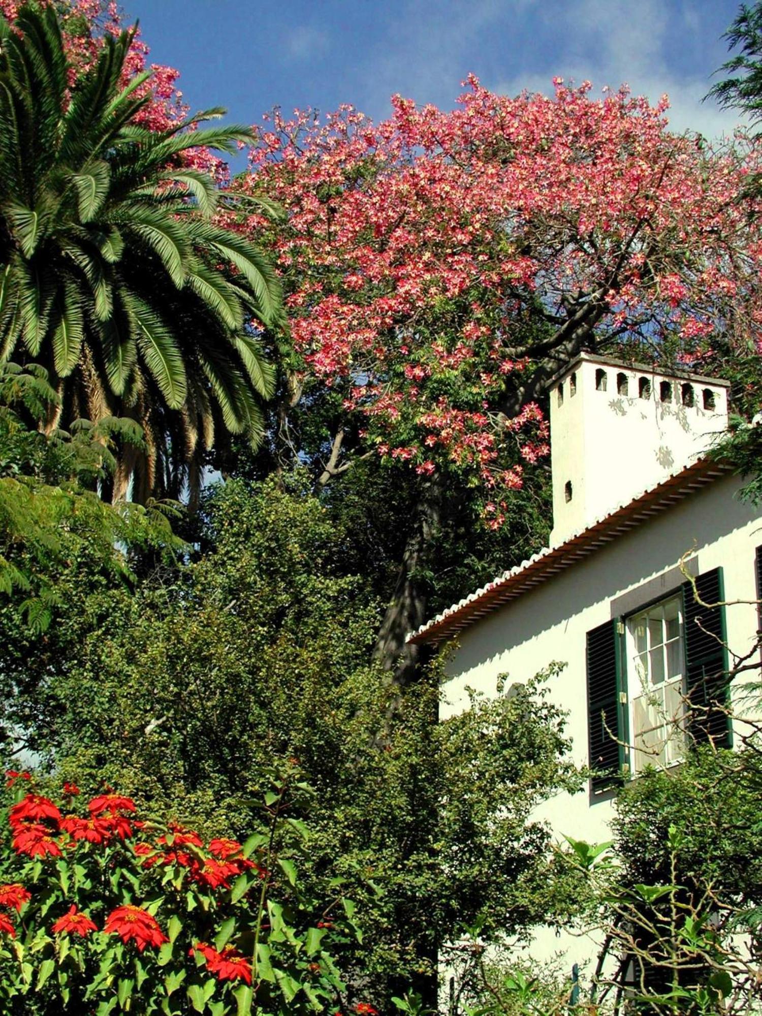 Quinta Da Bela Vista Hotel Funchal  Exterior foto